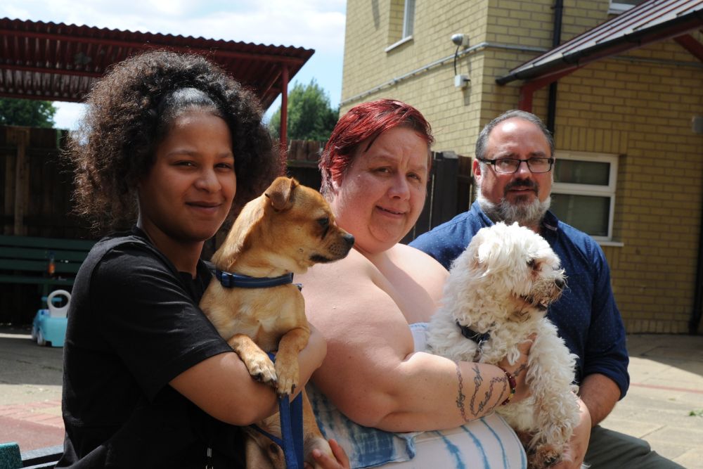 A group of three people sitting outside, two are holding dogs on their laps